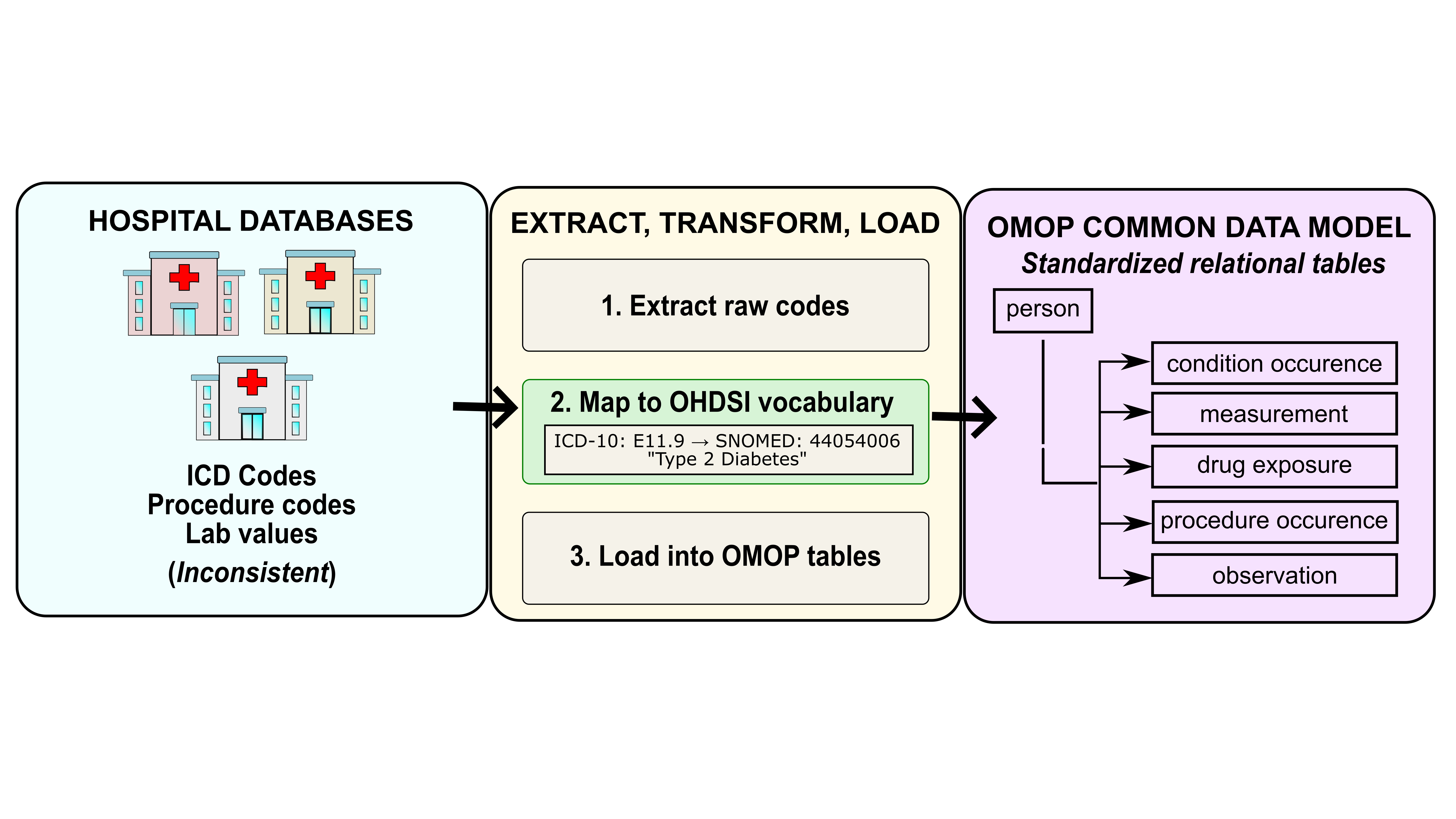 Flowchart showing hospital data being extracted, transformed via OHDSI vocabularies, and loaded into OMOP relational tables.