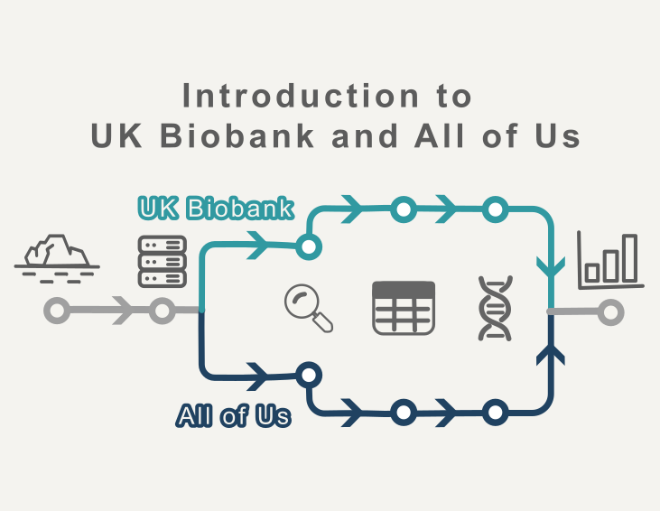 Subway-map style illustration of the Biobank Intro Series showing the journey through UK Biobank and All of Us topics.