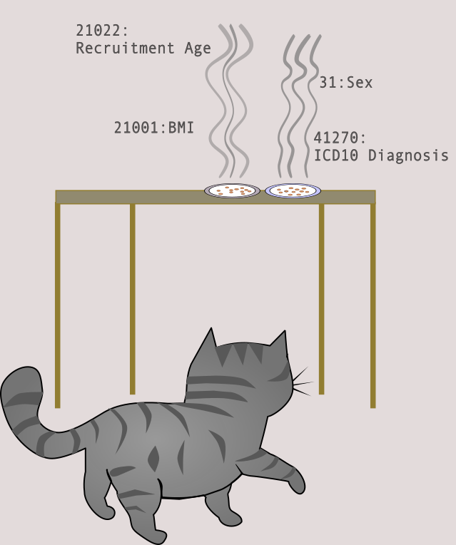 Loading phenotype data in the UK Biobank RAP (Research Analysis Platform) environment
