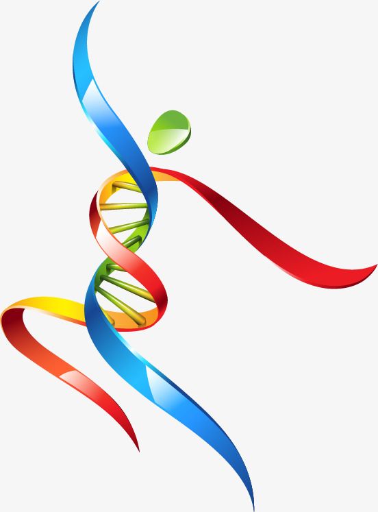 DNA woman