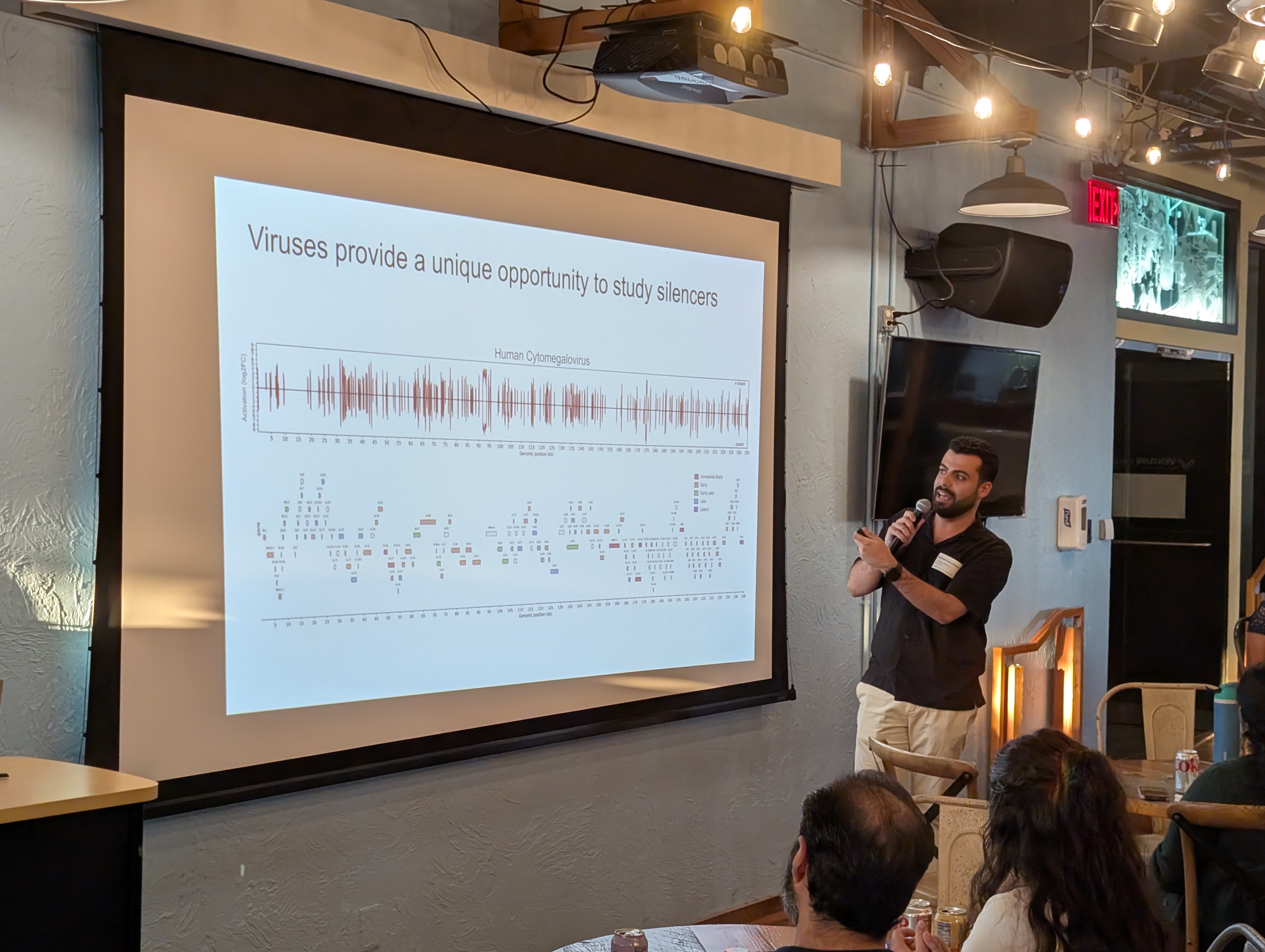 Mohamed Yousry ElSadec shares a slide titled "Viruses provide a unique opportunity to study silencers" with a plot that displays activation in Cytomegalovirus